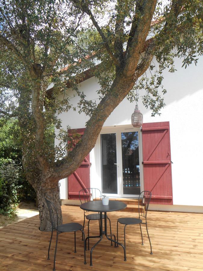 Maysoe Chambres D'Hotes Vieux-Boucau-les-Bains Buitenkant foto