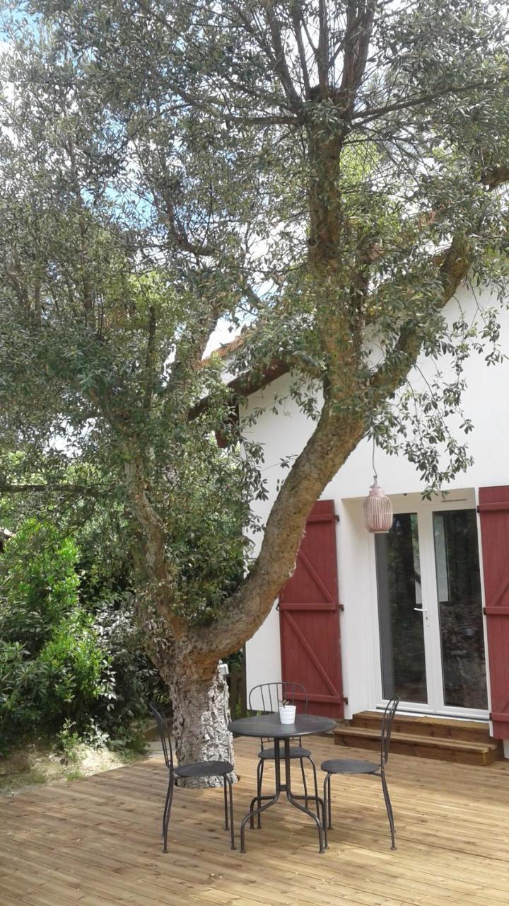 Maysoe Chambres D'Hotes Vieux-Boucau-les-Bains Buitenkant foto